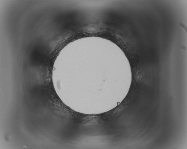 X0000103911253200809191254
