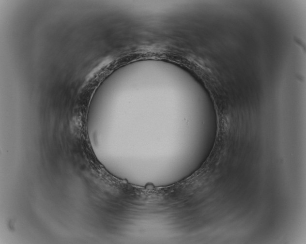 X0000103911254200809191254