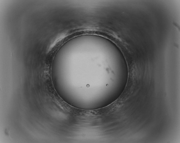 X0000103911255200809191254