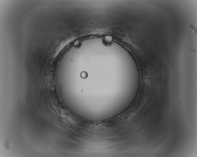 X0000103911256200809191254