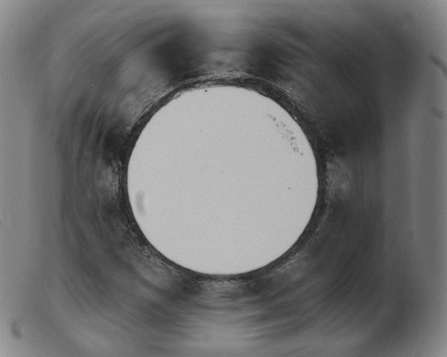 X0000103911257200809191254