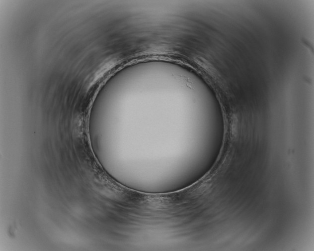 X0000103911258200809191254