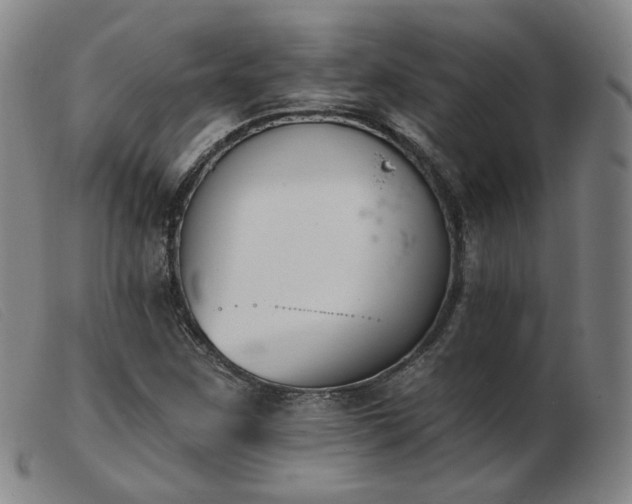 X0000103911259200809191254
