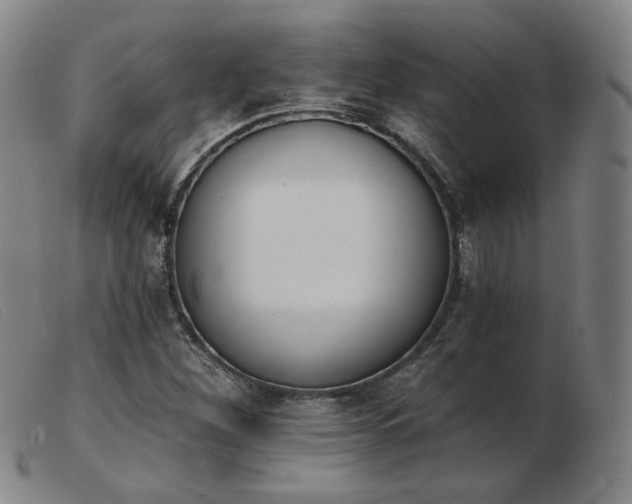 X0000103911260200809191254