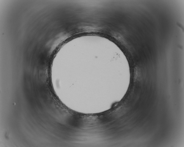 X0000103911261200809191254