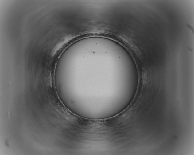 X0000103911262200809191254