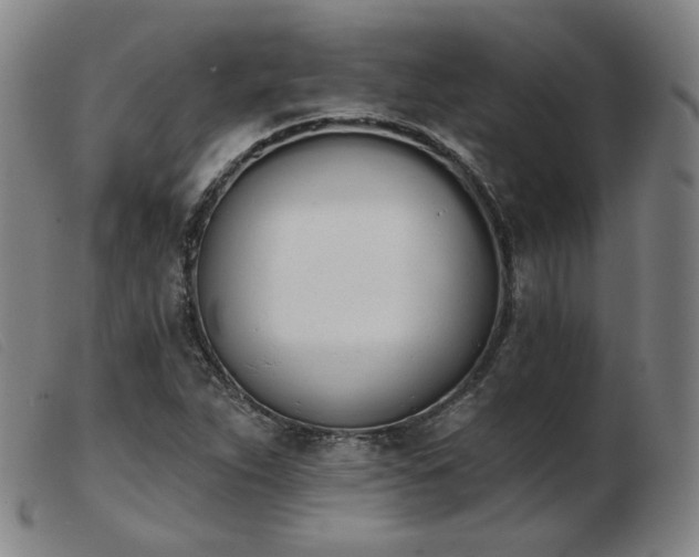 X0000103911263200809191254