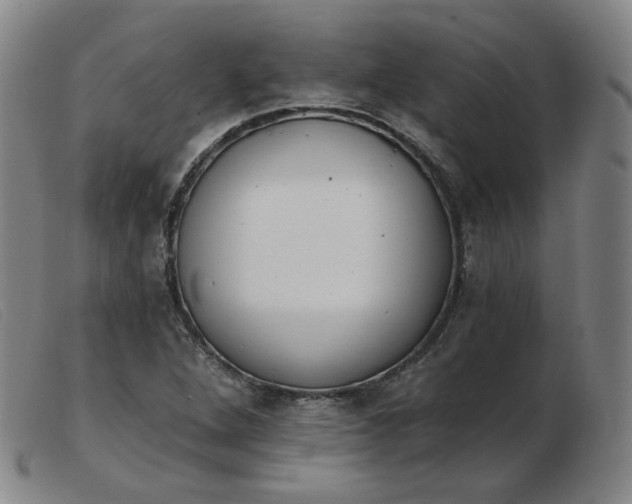 X0000103911264200809191254