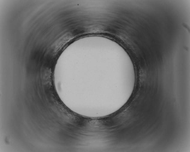 X0000103911265200809191254