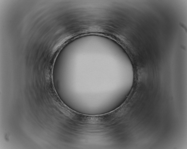 X0000103911266200809191254
