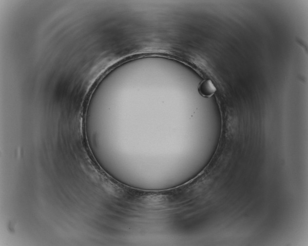 X0000103911268200809191254