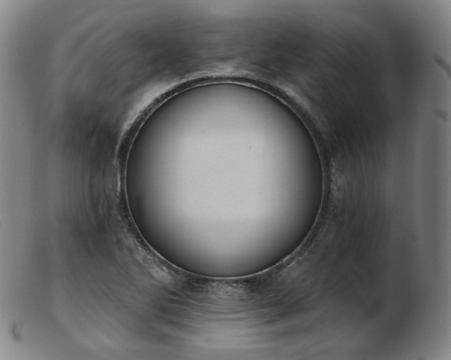 X0000103911270200809191254