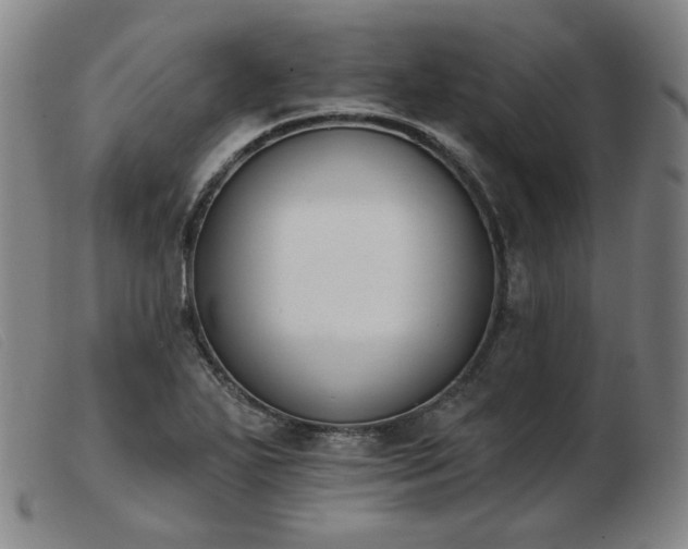 X0000103911271200809191254