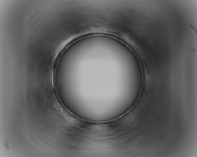 X0000103911272200809191254