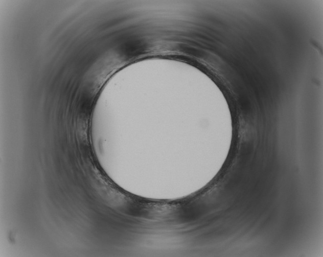 X0000103911273200809191254