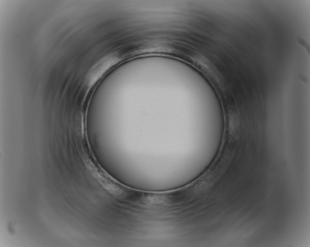 X0000103911274200809191254