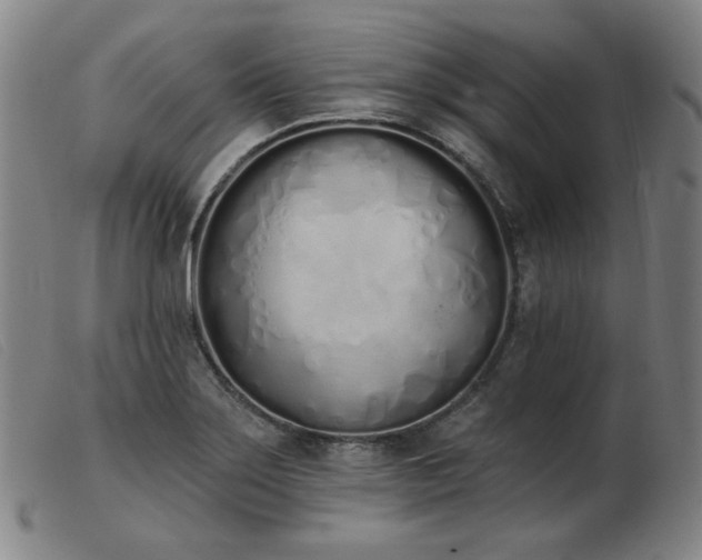 X0000103911275200809191254
