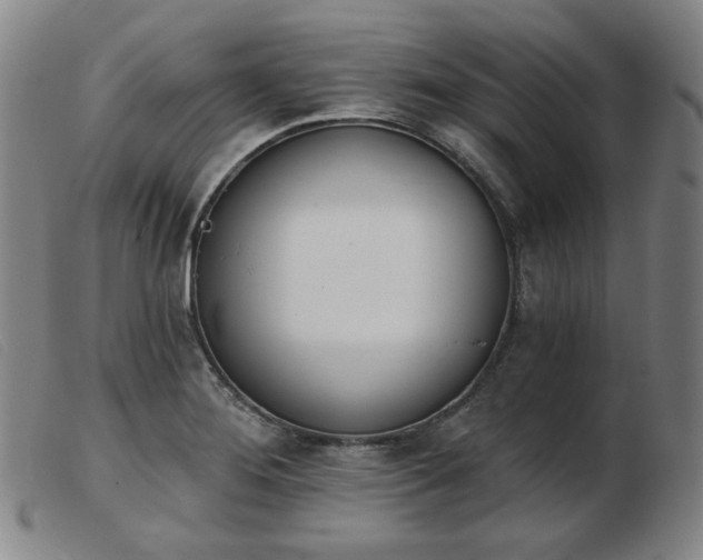 X0000103911276200809191254
