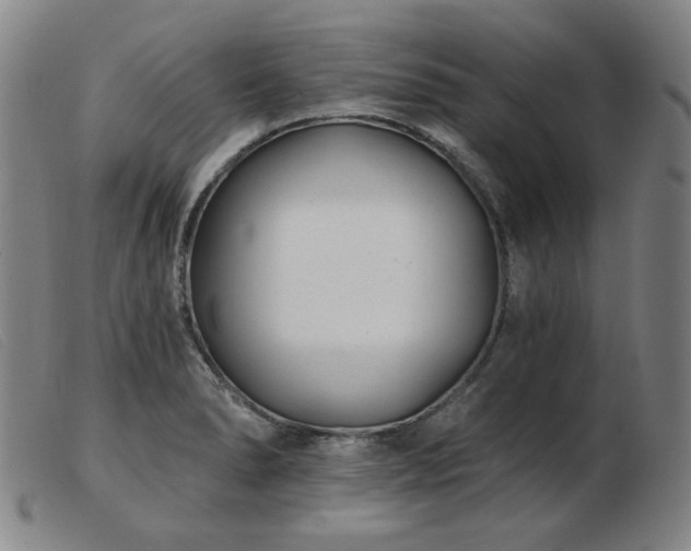 X0000103911278200809191254