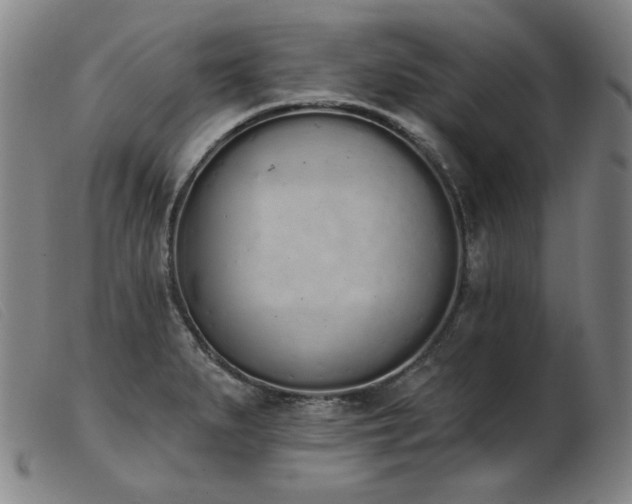 X0000103911279200809191254