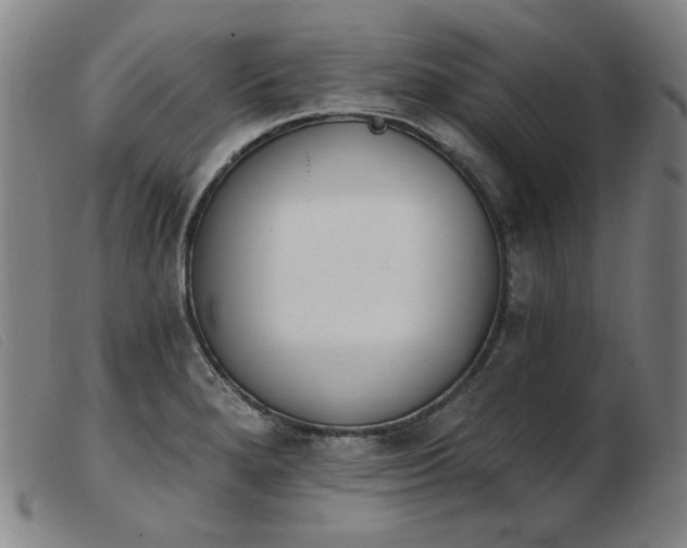 X0000103911280200809191254