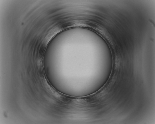 X0000103911281200809191254