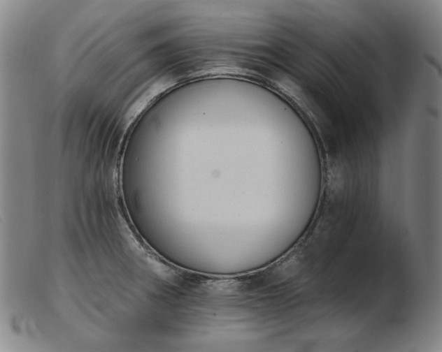 X0000103911282200809191254