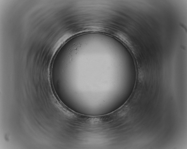 X0000103911283200809191254