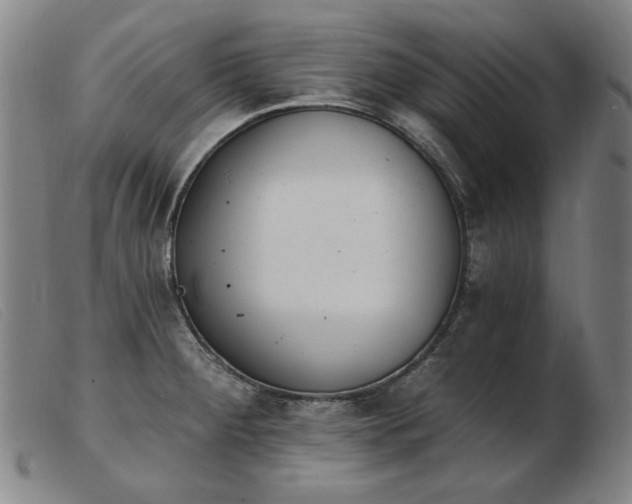 X0000103911284200809191254
