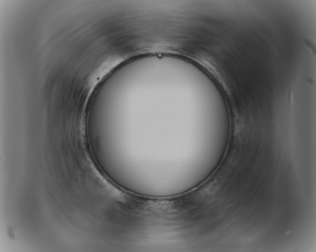 X0000103911285200809191253