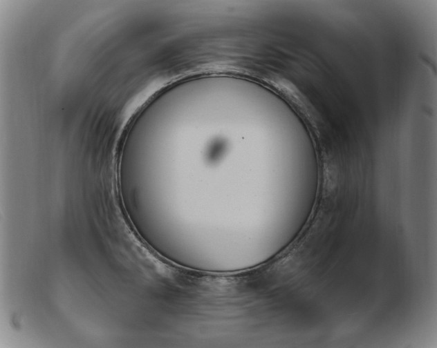 X0000103911286200809191253