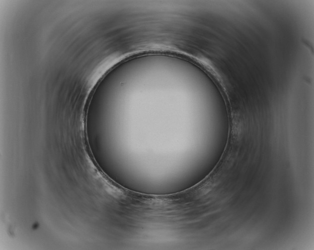 X0000103911287200809191253