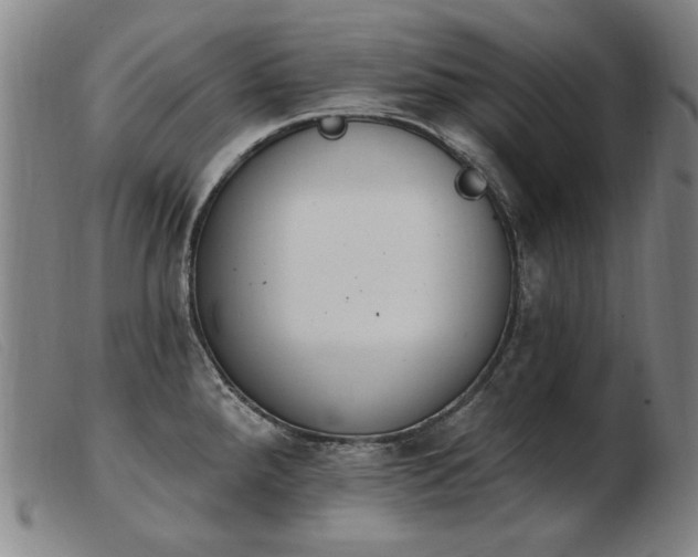 X0000103911288200809191253
