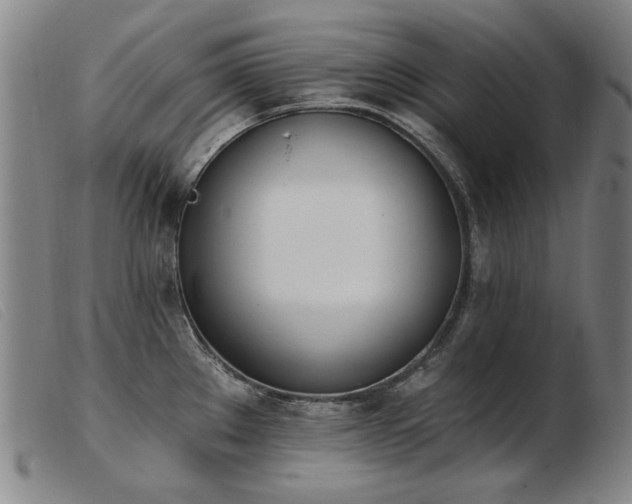 X0000103911289200809191253