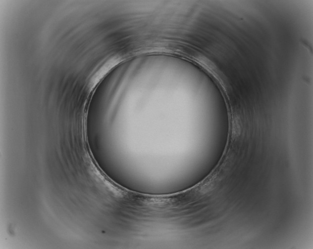 X0000103911290200809191253
