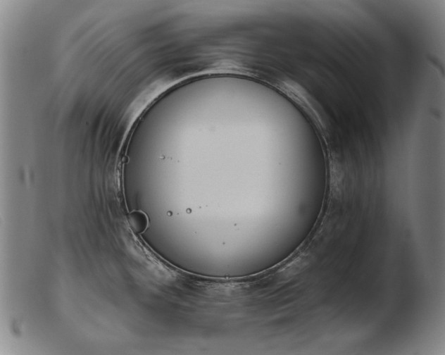 X0000103911292200809191253