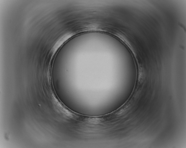X0000103911293200809191253