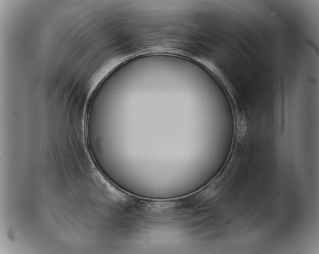 X0000103911294200809191253