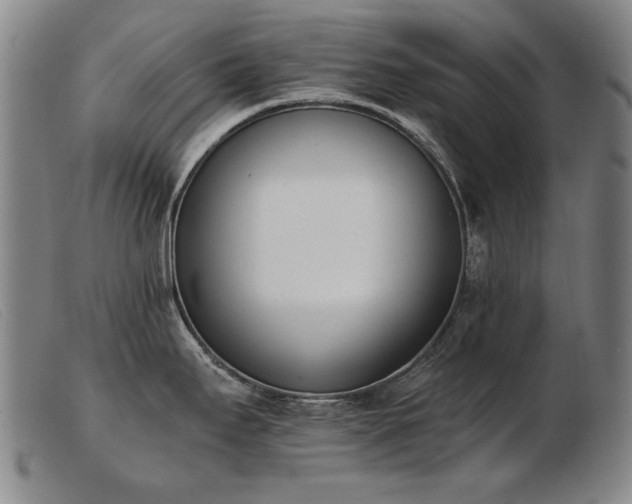X0000103911295200809191253