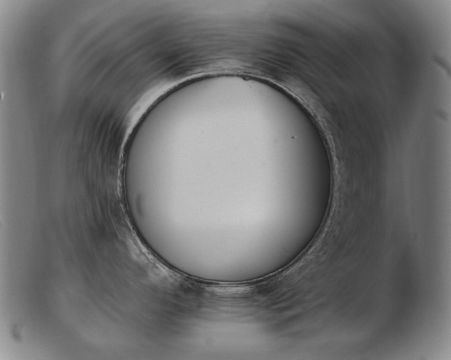 X0000103911296200809191253