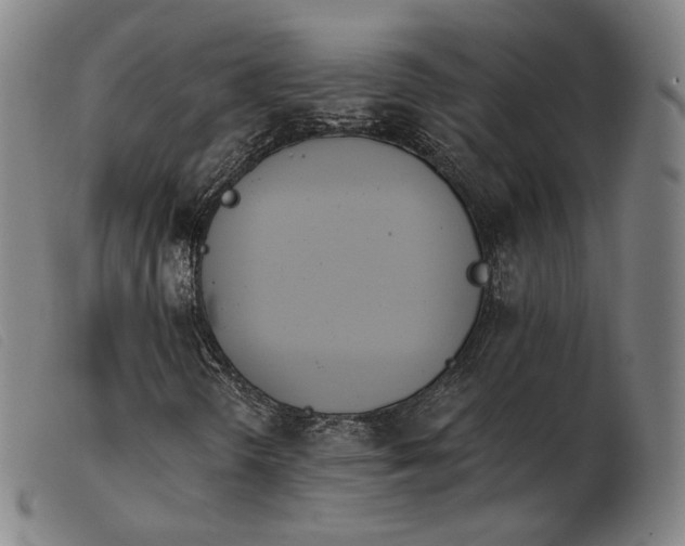 X0000103911298200809191253