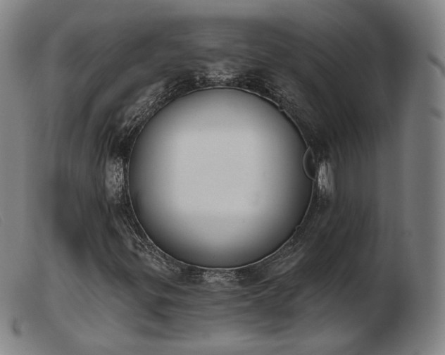 X0000103911299200809191253