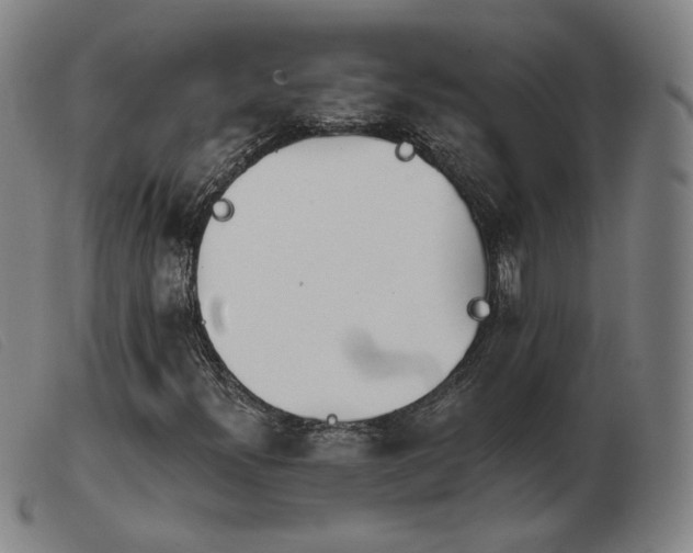 X0000103911300200809191253