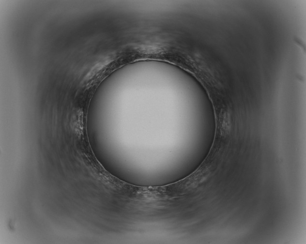 X0000103911301200809191253