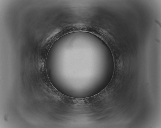 X0000103911302200809191253