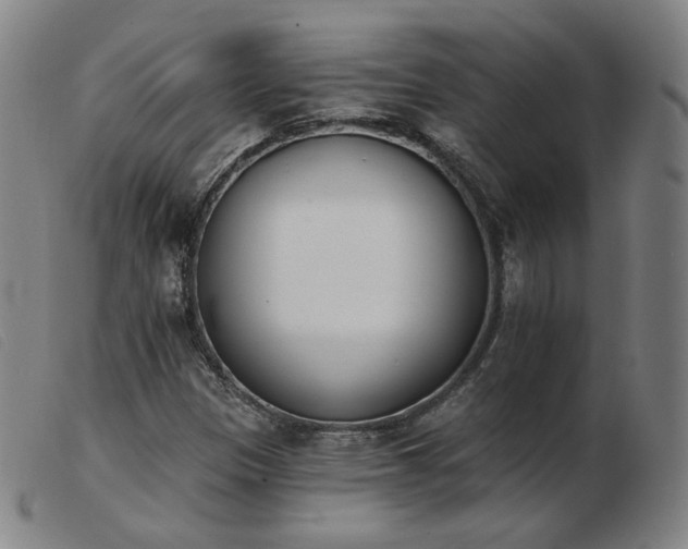 X0000103911305200809191253