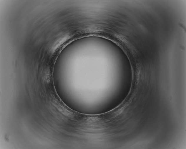 X0000103911306200809191253