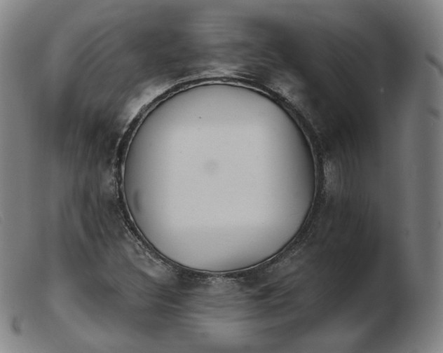 X0000103911308200809191253