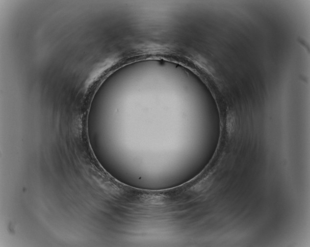 X0000103911309200809191253