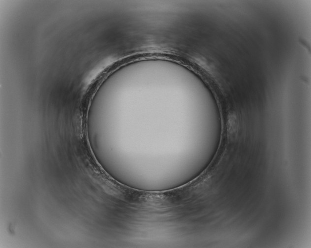 X0000103911310200809191253